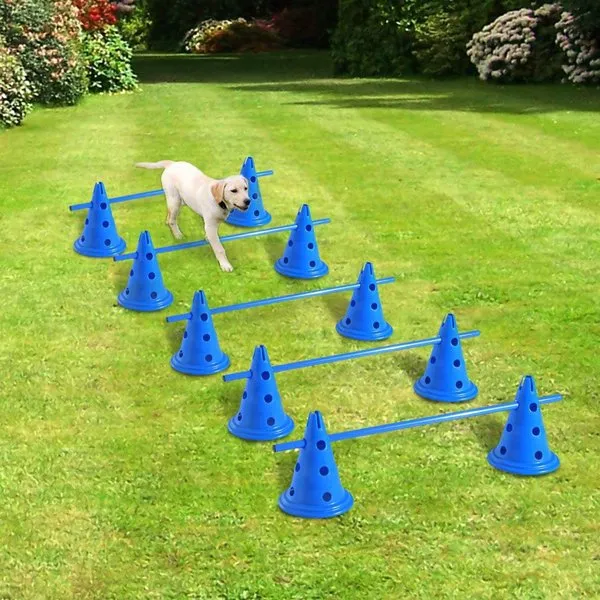 5 Set of Dog Agility Equipment Jumps Kit - Blue