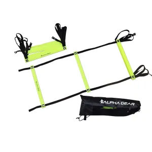 Alpha Gear Twin Pk of 2 metre ladders in carry bag
