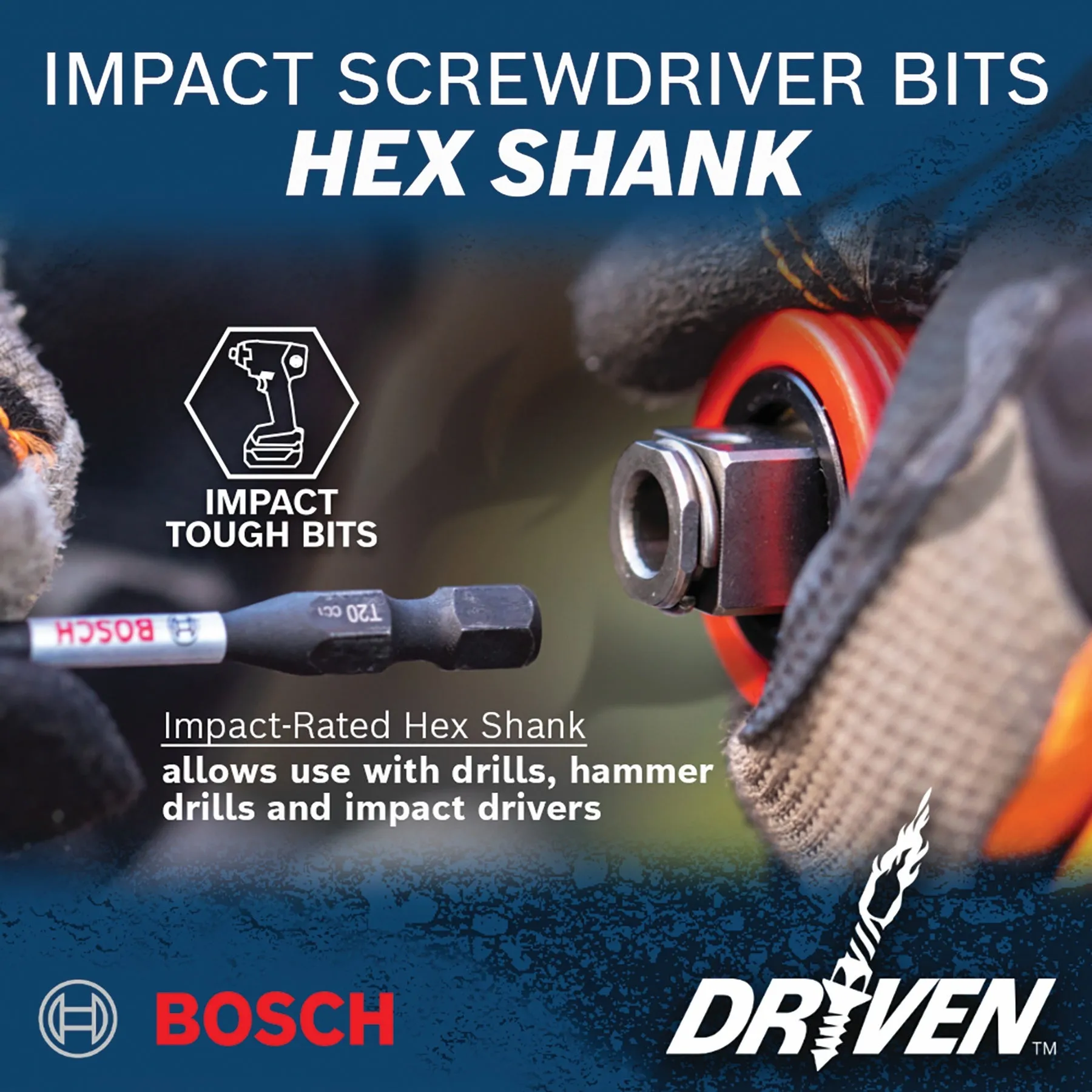 BOSCH ITDT25215 15 pc. Driven 2 In. Impact Torx® #25 Power Bits