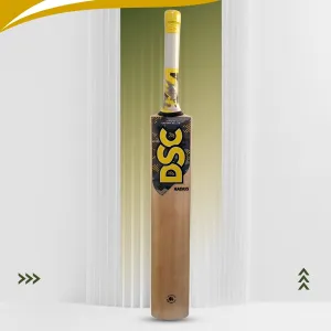 DSC Radius Kashmir Willow Cricket Bat