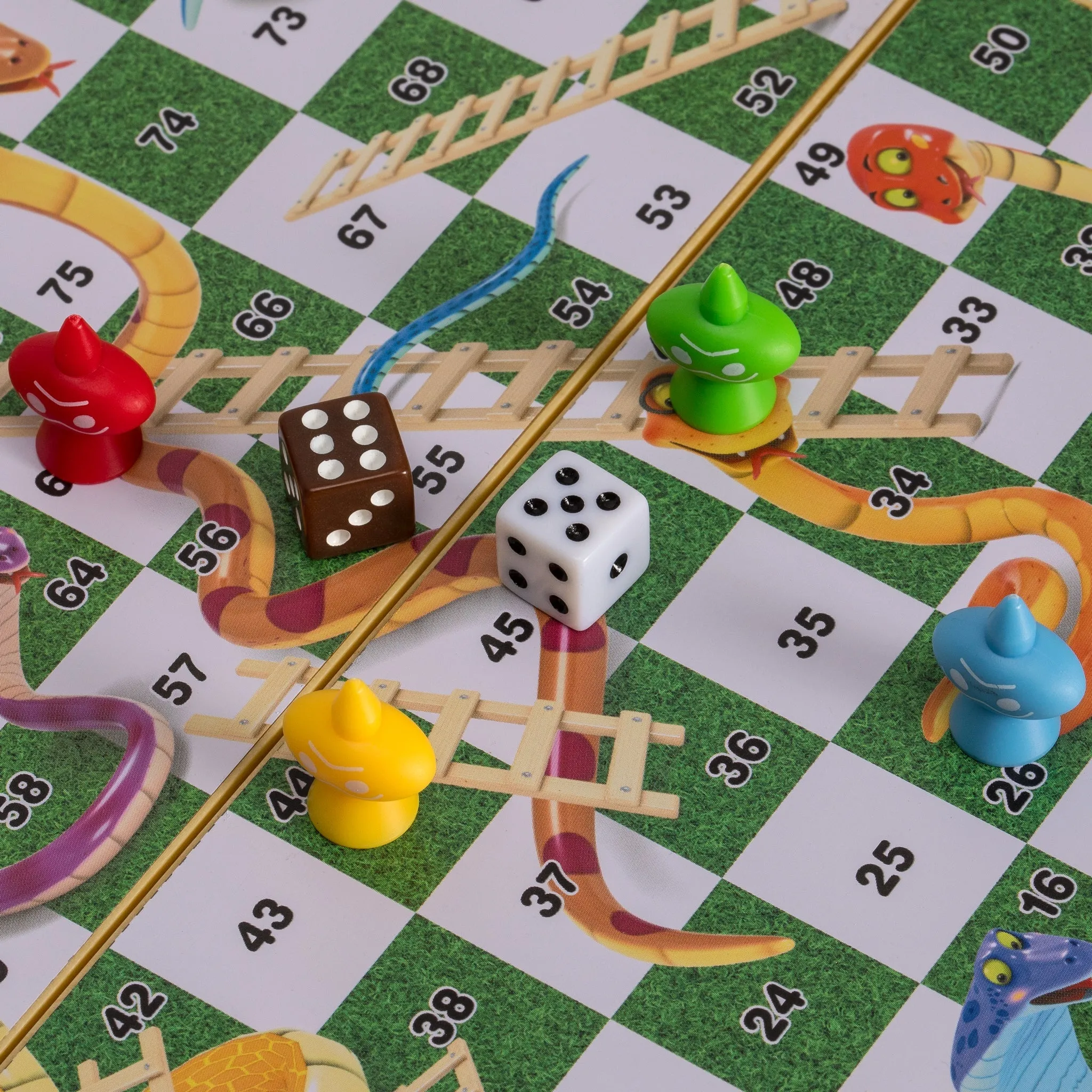 Magnetic Snakes and Ladders Board Game Set - 9.7"